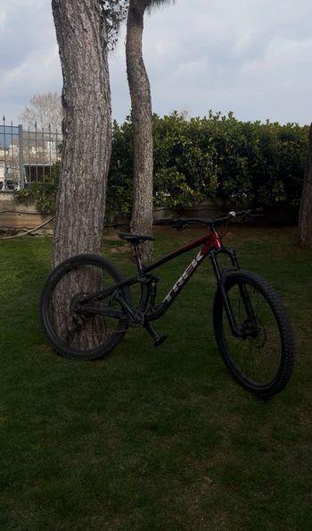 Trek, Fuel EX 8 Gen 5 2023