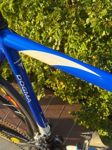 Used Pinarello Dogma Campagnolo Record 2004 Road & Gravel, Blue — image 6 of 13