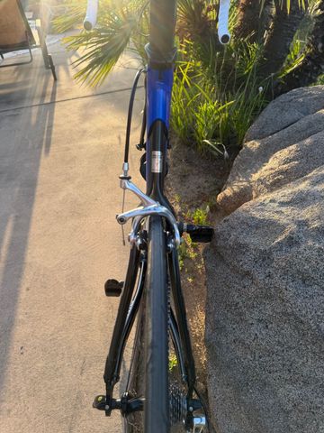 Used Pinarello Dogma Campagnolo Record 2004 Road & Gravel, Blue — image 9 of 13