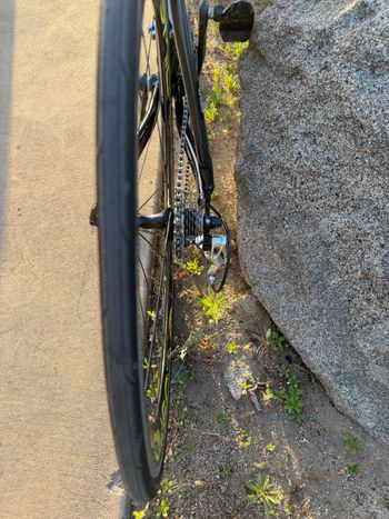 Used Pinarello Dogma Campagnolo Record 2004 Road & Gravel, Blue — image 5 of 13
