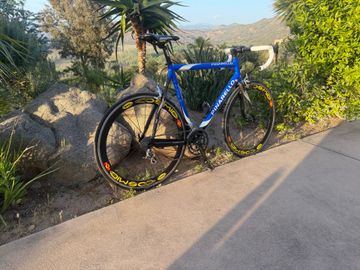 Used Pinarello Dogma Campagnolo Record 2004 Road & Gravel, Blue — image 13 of 13