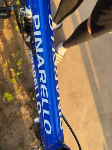 Used Pinarello Dogma Campagnolo Record 2004 Road & Gravel, Blue — image 8 of 13