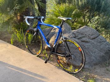 Used Pinarello Dogma Campagnolo Record 2004 Road & Gravel, Blue — image 10 of 13