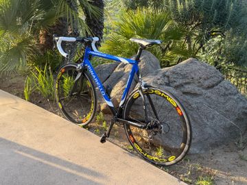 Used Pinarello Dogma Campagnolo Record 2004 Road & Gravel, Blue — image 10 of 13