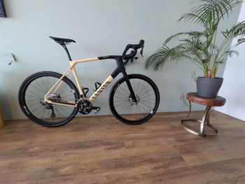 Canyon, Grail CF SL 8 2024