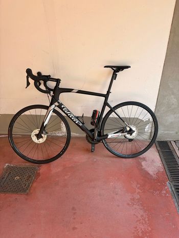 Willier, Willier Custom Shimano Ultegra