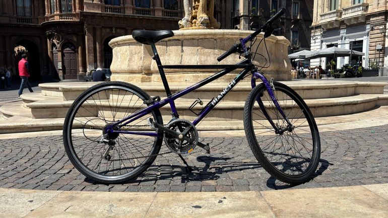 Used Bianchi Bianchi Custom Other Shimano - Mountainbike 1994 Mountainbike, Purple — image 1 of 10