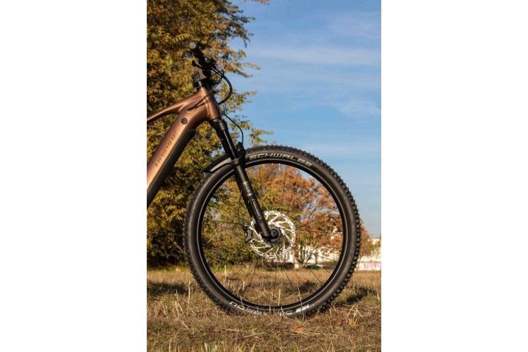 Used Haibike ALLTRAIL 6 2026 2026 Mountainbike, Light Gray, 29 — image 3 of 11