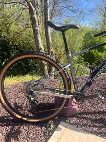 Used Cannondale Trail Shimano Deore 2024 Mountainbike, Black — image 4 of 11