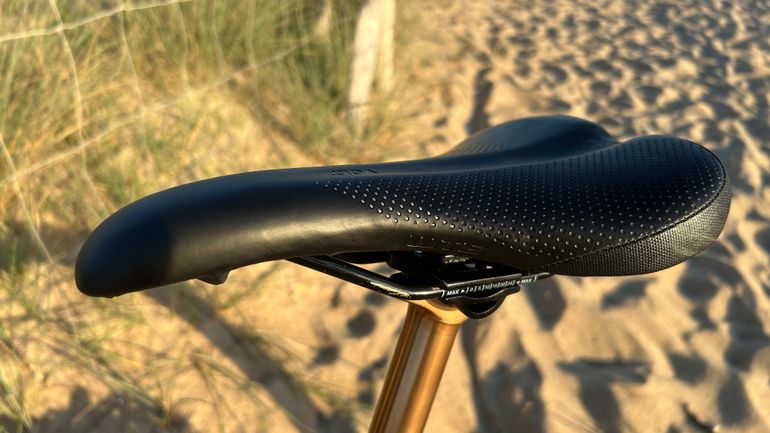 Used Whistle B Rush C8.2 2022 Mountainbike, Schwarz — image 9 of 10