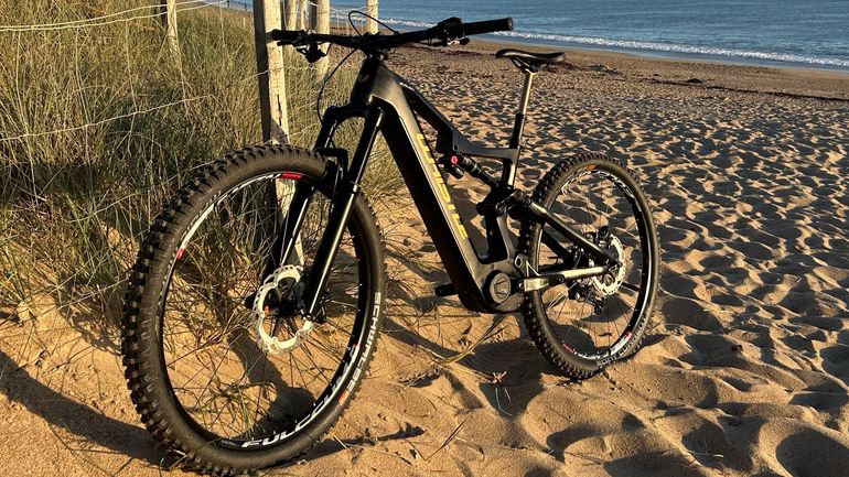 Used Whistle B Rush C8.2 2022 Mountainbike, Schwarz — image 1 of 10
