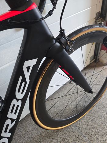 Thumbnail 14