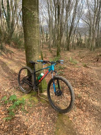 Trek, Marlin 7 Gen 3 2023