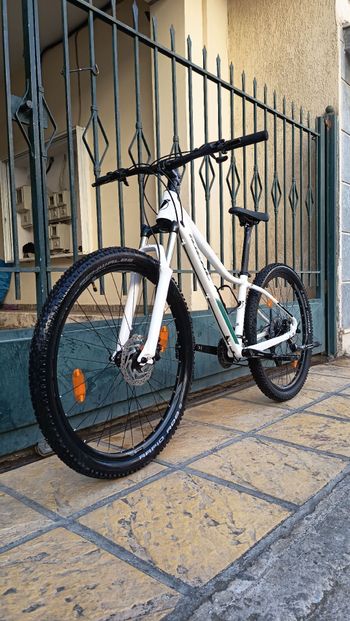 Ideal, PRORIDER Acera UNI 27.5 2025