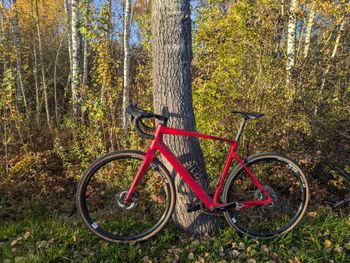 Thömus, Thömus Sliker X Ultimate GRX Di2