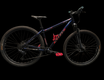 Gebrauchtes Stein-Bikes Stein Bike Mauna Loa 29" 2021 MTB