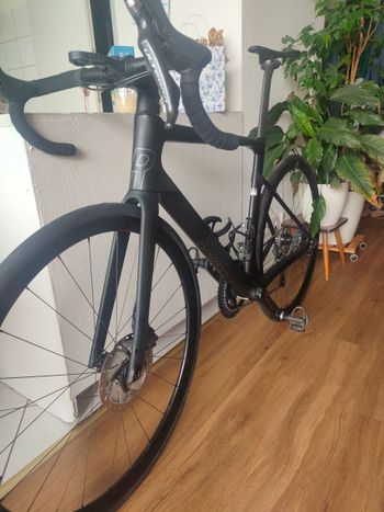 Rose, X-LITE SIX DISC Ultegra 2022