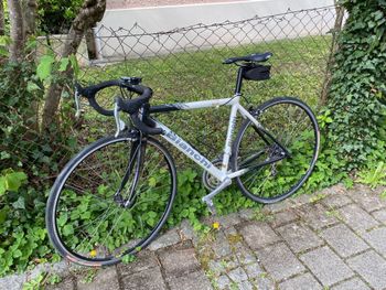 Used Bianchi ML3 Reparto Corse 2003 Road & Gravel