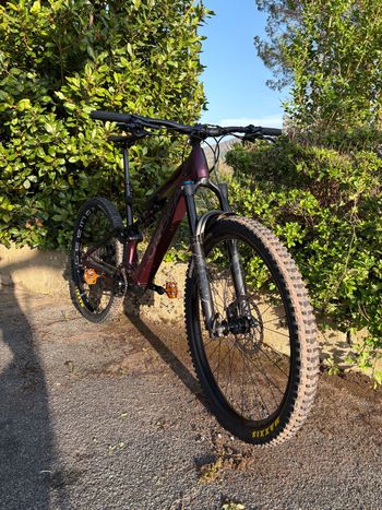 Orbea, RISE H15 2022