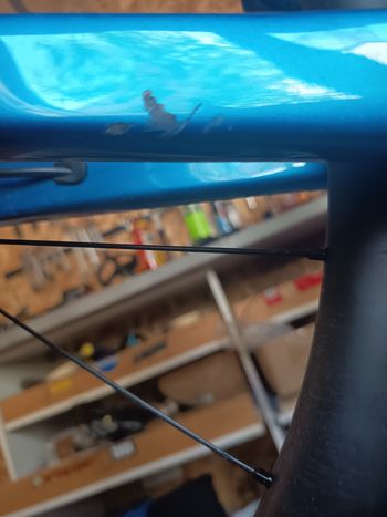 Used Gitane G-Wild Alpina Gracvel Carbon GRX Di2 2x12s 2024 Road & Gravel, Blue — image 7 of 10