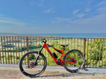 Brugt KTM MACINA SCARP SX MASTER 2025 2025 MTB