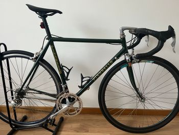 Pinarello stelvio, Pinarello stelvio Custom Campagnolo Chorus EPS