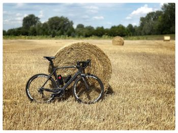 Used Sensa Giulia Evo Ultegra Carbon 2021 2021 Road & Gravel — image 3 of 13
