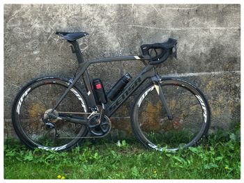 Used Sensa Giulia Evo Ultegra Carbon 2021 2021 Road & Gravel — image 4 of 13
