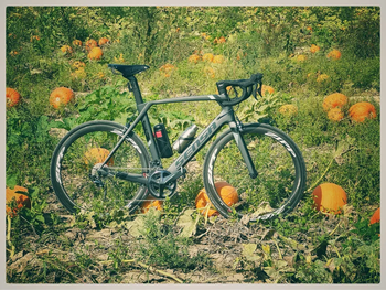 Used Sensa Giulia Evo Ultegra Carbon 2021 2021 Road & Gravel — image 11 of 13