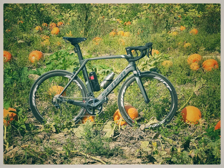 Used Sensa Giulia Evo Ultegra Carbon 2021 2021 Road & Gravel — image 11 of 13