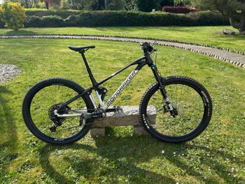 Mondraker, FOXY 2022