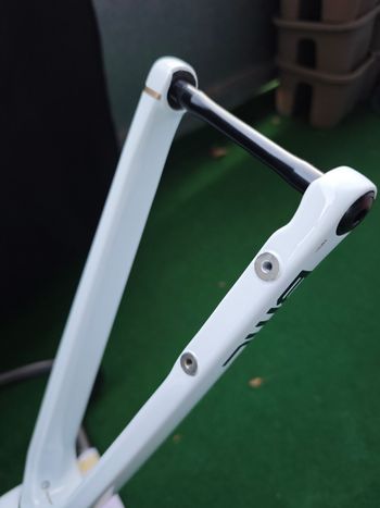Used BMC Teammachine SLR 01 LTD 2023 Frameset 2023 Road & Gravel, White — image 5 of 9