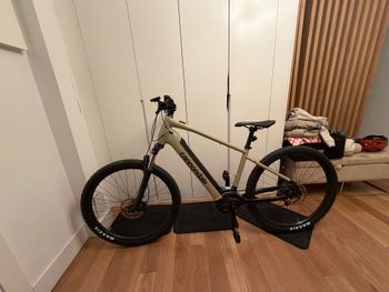 Cannondale, Trail Neo 4 2025