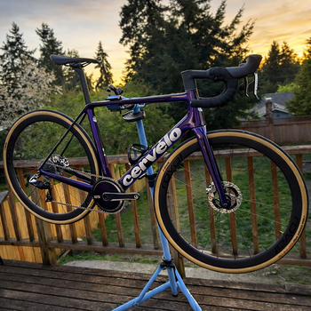 Cervélo, R5 Red AXS 2024