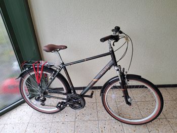 Raleigh, Raleigh Custom