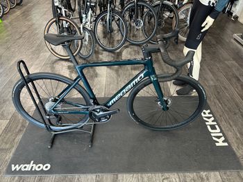 Megamo, PULSE ELITE 05 SH12 2024