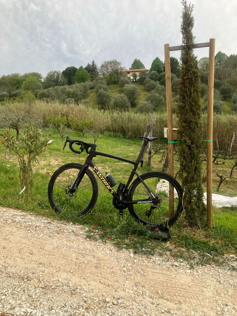 Brugt Specialized S-Works Tarmac SL7 Frameset 2024 Frameset 2024 Road & Gravel