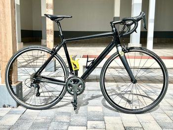 Scott, Speedster 20 2019
