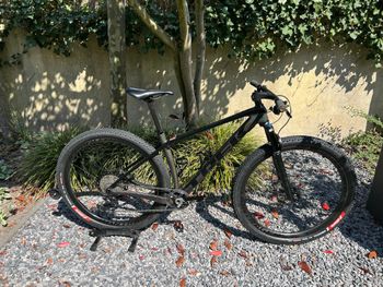 Trek, Procaliber 9.8 2022