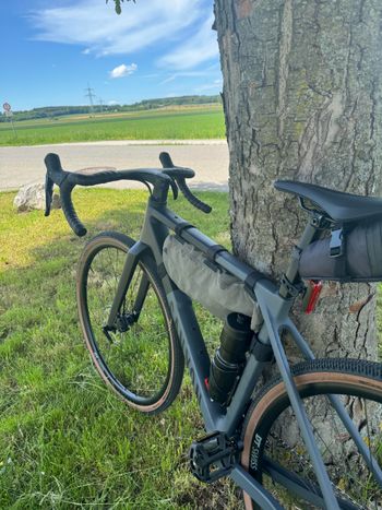 Canyon, Grail CF SL 7 2024