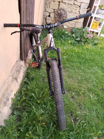 Used Rose THE BRUCE 1 2022 2022 Mountainbike, Hellgrau, 26 — image 7 of 9
