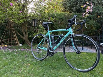 Bianchi, Via Nirone 7 - Coast 2 Coast
