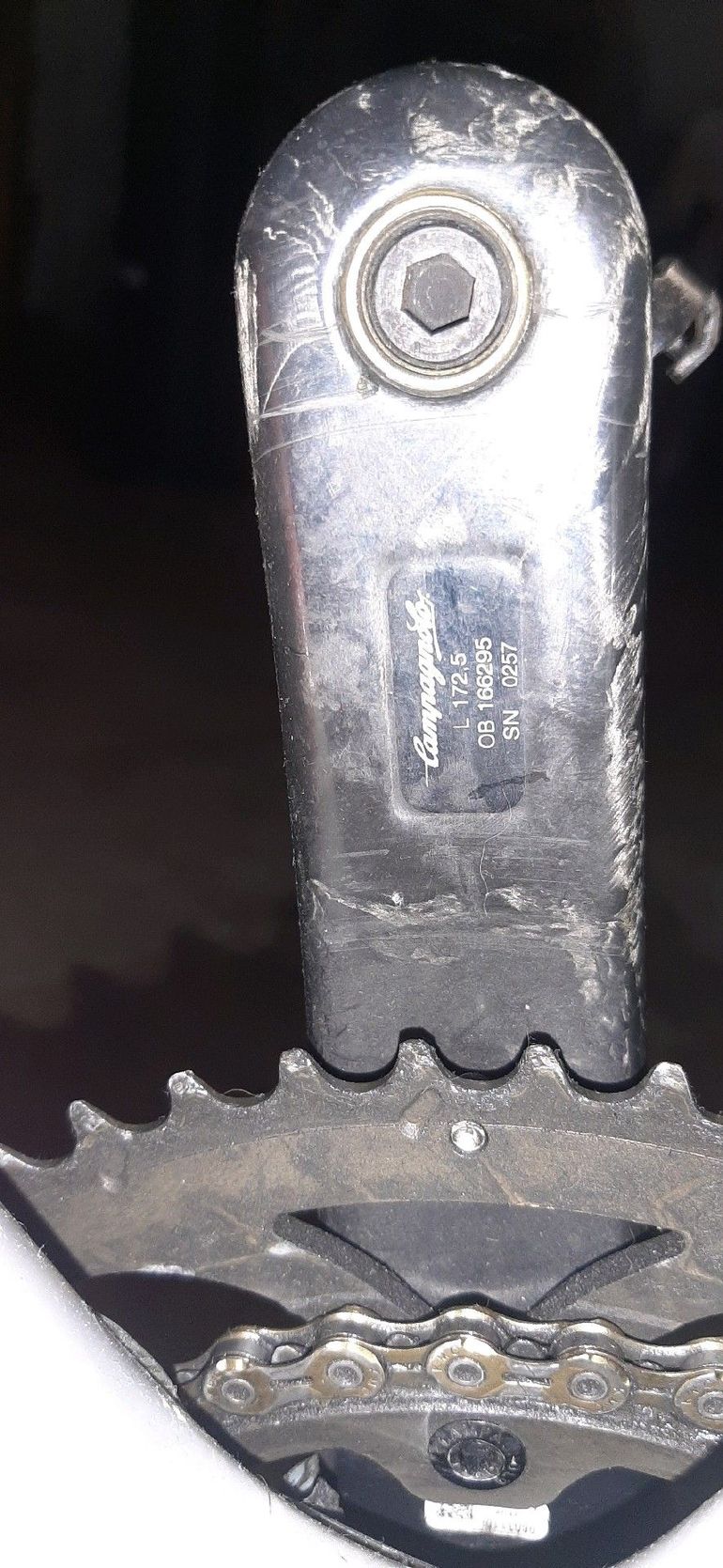 Basso Custom Campagnolo Super Record 2023 Road & Gravel de segunda mano, Gris claro — imagen 18 de 19