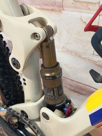 Used Lee Cougan Lee Cougan Custom SRAM SX Eagle 2024 Mountainbike, Weiß — image 3 of 9