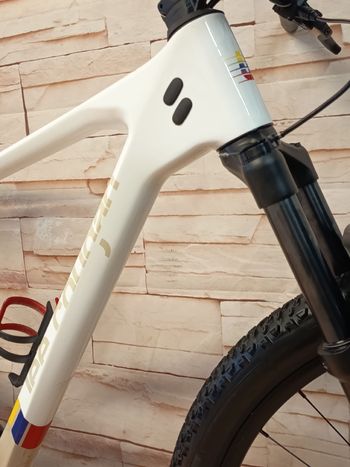 Used Lee Cougan Lee Cougan Custom SRAM SX Eagle 2024 Mountainbike, Weiß — image 5 of 9
