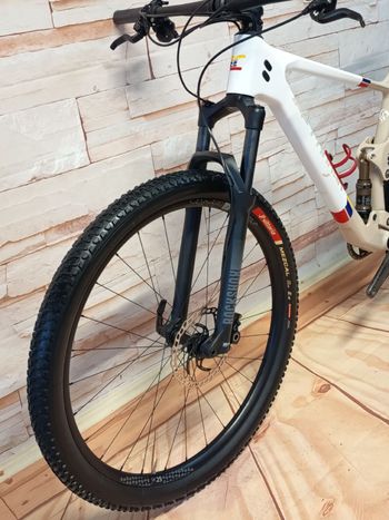 Used Lee Cougan Lee Cougan Custom SRAM SX Eagle 2024 Mountainbike, Weiß — image 4 of 9