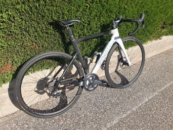 Dynatek, Delirio Shimano Ultegra