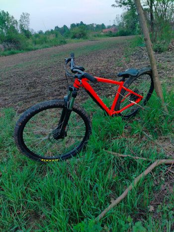 Used rocrider Rocrider Custom Shimano 105 2025 Mountainbike — image 5 of 11