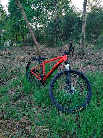 Used rocrider Rocrider Custom Shimano 105 2025 Mountainbike — image 9 of 11