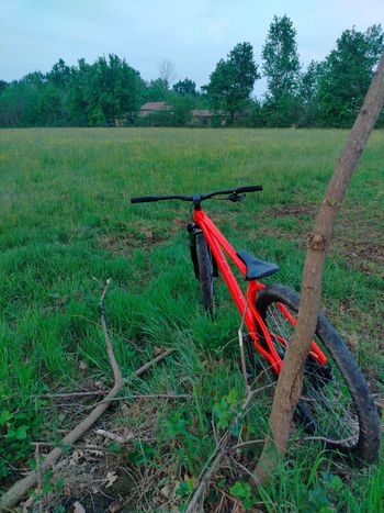 Used rocrider Rocrider Custom Shimano 105 2025 Mountainbike — image 2 of 11